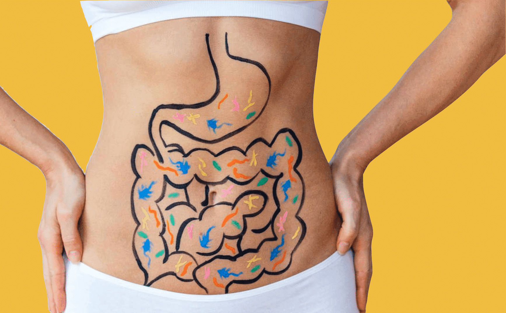 Prebiotics And Why You Need Them in Your Diet