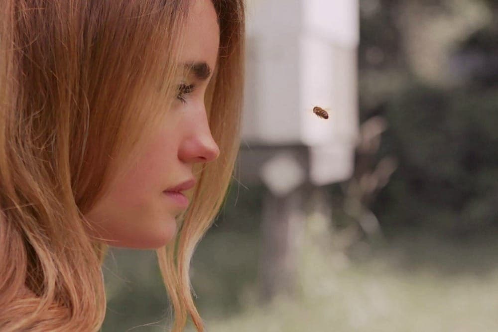 The Buzz about Beekeeper’s Naturals