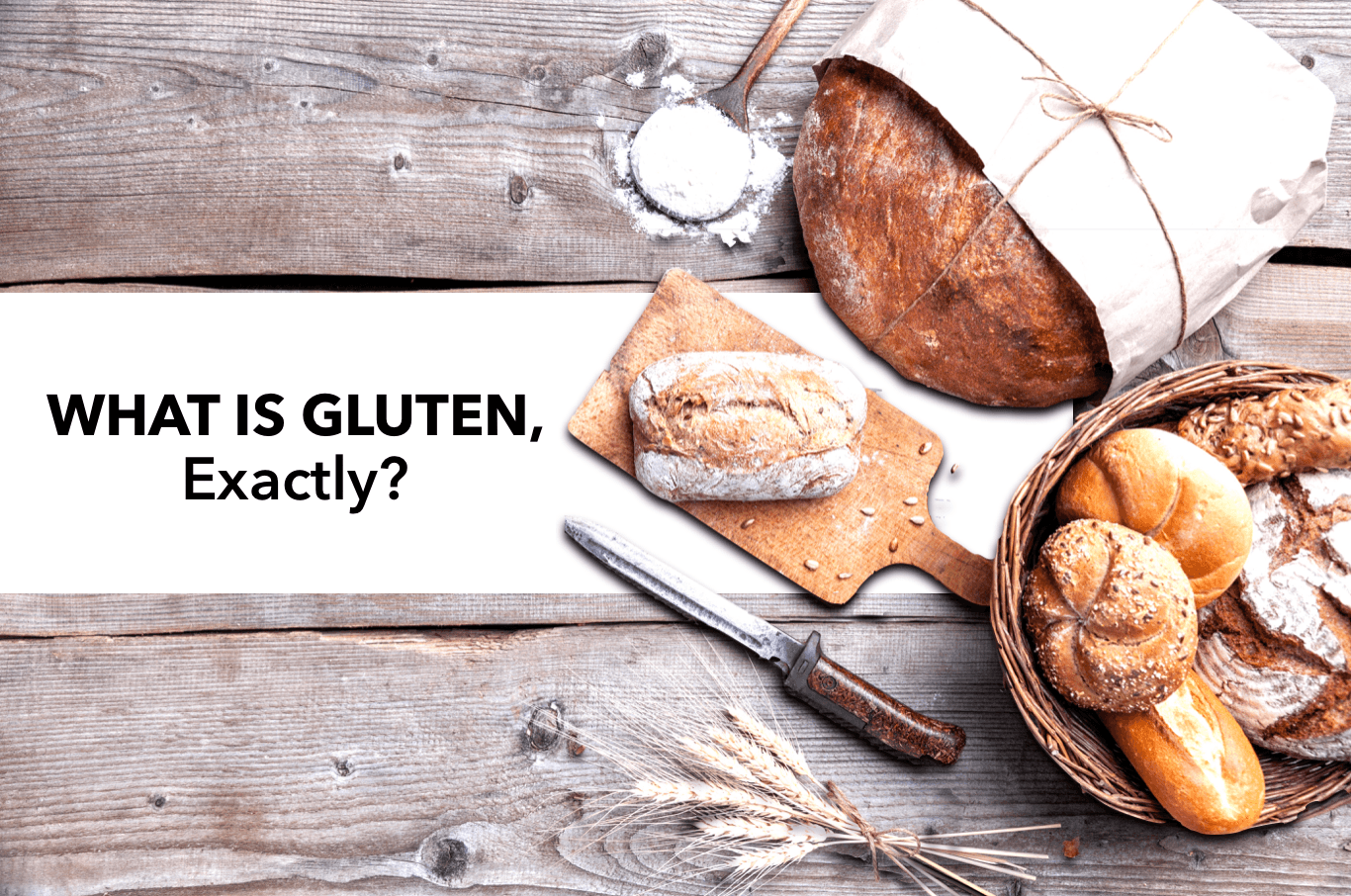 What is Gluten?
