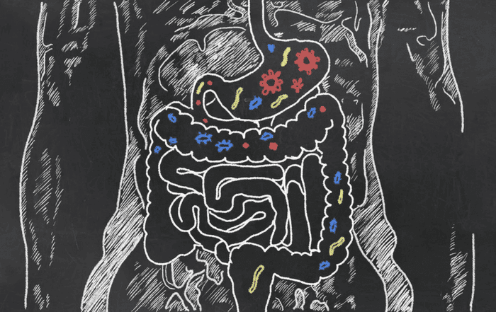 Probiotic Supplements: What You Need To Know Before Buying